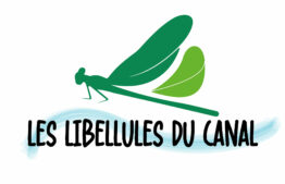 Les Libellules du canal